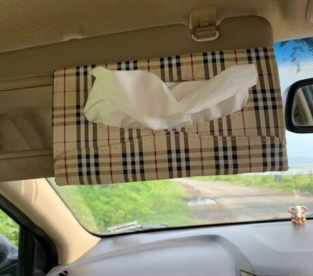 Tissue holder in my car