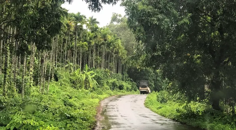 Konkan drive