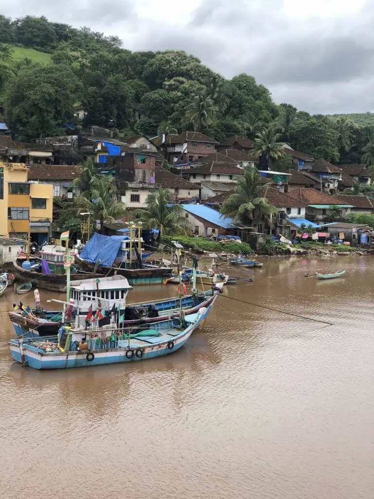 View from one of the konkan bridges