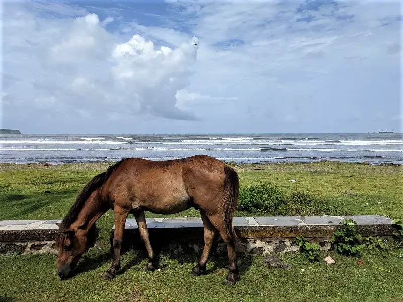 Around Kashid Beach