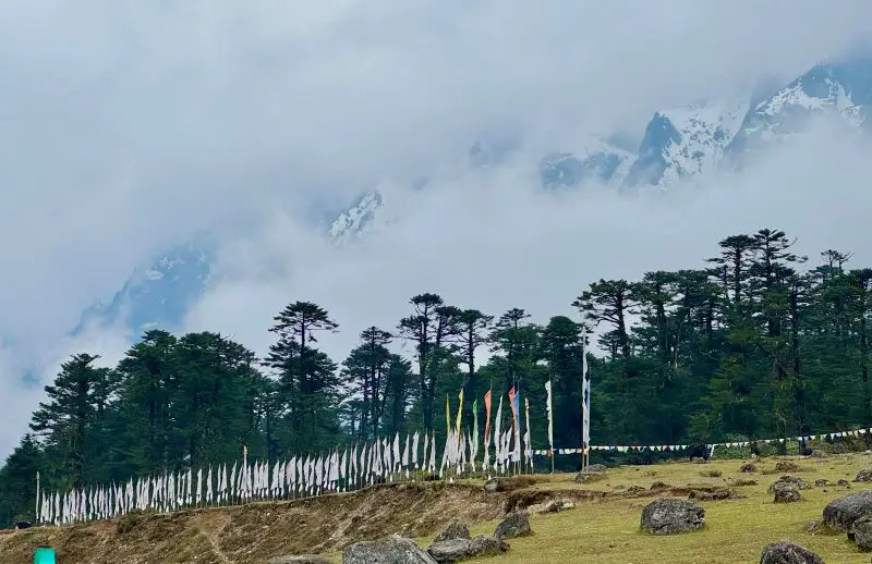 Yumthang Valley