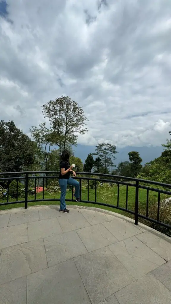 Morning tea with the mountains